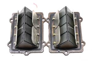 Polaris - 01 Polaris Virage 3-Pass Reed Valves - Image 2