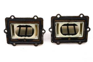 Polaris - 01 Polaris Virage 3-Pass Reed Valves - Image 3