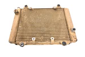 Kawasaki - 04 Kawasaki Prairie 700 4x4 Radiator KVF700 - Image 3