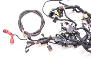 Ski-Doo - 12 Ski-Doo Renegade Back Country X 800R E-TEC Wire Harness Electrical Wiring 137" - Image 3