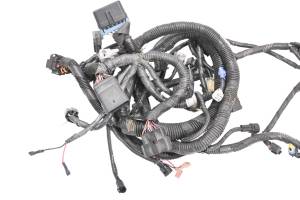 Arctic Cat - 12 Arctic Cat F800 Sno Pro Wire Harness Electrical Wiring - Image 2