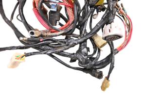 Arctic Cat - 01 Arctic Cat 250 4x4 Wire Harness Electrical Wiring - Image 2