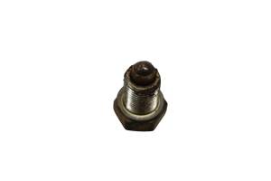Arctic Cat - 01 Arctic Cat 500 Auto 4x4 Cam Stopper Bolt Assembly - Image 2