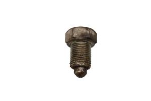 Arctic Cat - 01 Arctic Cat 500 Auto 4x4 Cam Stopper Bolt Assembly - Image 3