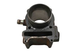 Arctic Cat - 06 Arctic Cat DVX250 2x4 Cylinder - Image 3