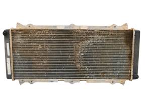 14 Arctic Cat Wildcat 1000 Radiator