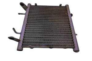06 Arctic Cat 400 4x4 Auto IRS Radiator