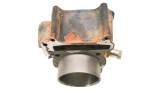 Arctic Cat - 08 Arctic Cat 250 Auto 2x4 Cylinder - Image 3