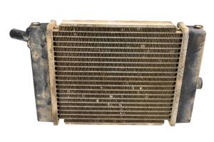 06 Arctic Cat DVX250 2x4 Radiator