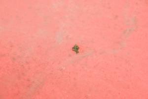 Honda - 03 Honda Aquatrax R-12X Seat ARX1200T2A - Image 4