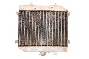 Honda - 03 Honda Foreman Rubicon 500 4x4 Radiator TRX500FA - Image 6
