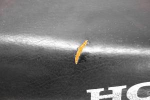 Honda - 02 Honda TRX400EX Seat Sportrax 400 2x4 - Image 3