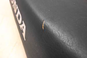 Honda - 02 Honda TRX400EX Seat Sportrax 400 2x4 - Image 4