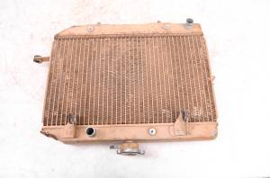 Honda - 05 Honda Rincon 650 4x4 Radiator TRX650FA - Image 3