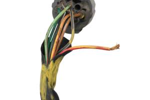 Honda - 94 Honda TRX300EX Headlight On Off Handlebar Start Switch Sportrax 300 2x4 For Parts - Image 3