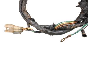 Honda - 04 Honda TRX400EX Wire Harness Electrical Wiring - Image 4