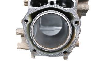 Kawasaki - 19 Kawasaki Mule 4010 4x4 Crankcase Center Crank Case & Cylinders KAF620MKF - Image 7