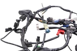 Kawasaki - 22 Kawasaki Ninja 400 Wire Harness Electrical Wiring EX400 - Image 4
