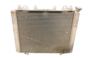 Kawasaki - 17 Kawasaki Mule Pro-DXT EPS LE Radiator KAF1000CH - Image 1