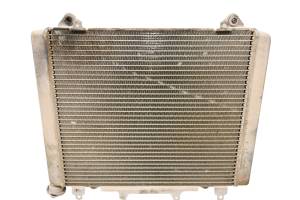 Kawasaki - 17 Kawasaki Mule Pro-DXT EPS LE Radiator KAF1000CH - Image 2