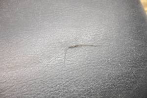 Kawasaki - 17 Kawasaki Mule Pro-DXT EPS LE Seat Back Cushion KAF1000CH - Image 6