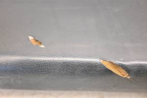 Kawasaki - 17 Kawasaki Mule Pro-DXT EPS LE Seat Bottom Cushion KAF1000CH - Image 5