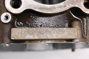 Kawasaki - 01 Kawasaki Bayou 220 2x4 Crankcase Center Crank Case KLF220 - Image 5