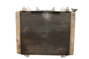 19 Kawasaki Mule PRO-DXT EPS 4x4 Radiator KAF1000