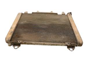 Kawasaki - 19 Kawasaki Mule PRO-DXT EPS 4x4 Radiator KAF1000 - Image 4