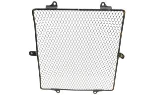 09 Kawasaki Teryx 750 4x4 Radiator Cover Screen KRF750