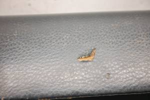 Kawasaki - 19 Kawasaki Mule 4010 Trans 4x4 Rear Bench Seat Bottom KAF620 - Image 3