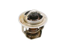Kawasaki - 17 Kawasaki Mule Pro-DXT EPS LE Thermostat KAF1000CH - Image 1