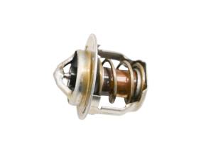 Kawasaki - 17 Kawasaki Mule Pro-DXT EPS LE Thermostat KAF1000CH - Image 2