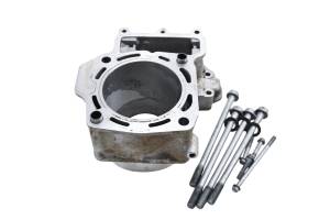 08 Kawasaki Brute Force 750 4x4i Rear Cylinder KVF750 For Parts