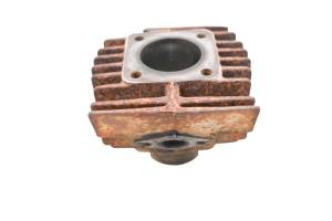 04 Kawasaki KFX50 Cylinder