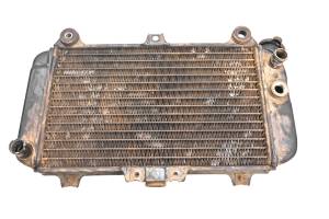 01 Kawasaki Mojave 250 2x4 Radiator KSF250