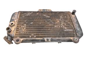 Kawasaki - 01 Kawasaki Mojave 250 2x4 Radiator KSF250 - Image 2