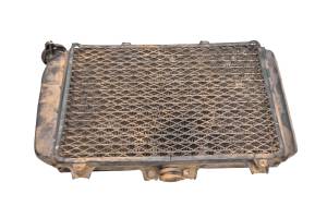 Kawasaki - 01 Kawasaki Mojave 250 2x4 Radiator KSF250 - Image 3