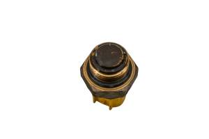 Kawasaki - 19 Kawasaki Mule PRO-DXT EPS 4x4 Thermostat Switch KAF1000 - Image 3