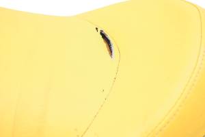 Sea-Doo - 10 Sea-Doo RXT iS 260 Seat - Image 2