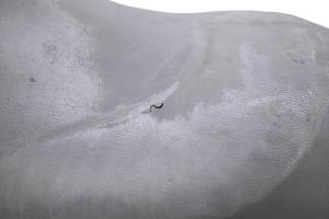 Yamaha - 13 Yamaha Waverunner VX Deluxe Seat - Image 3