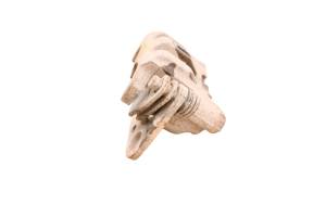 Polaris - 08 Polaris Ranger 700 XP 4x4 Front Left Brake Caliper - Image 2