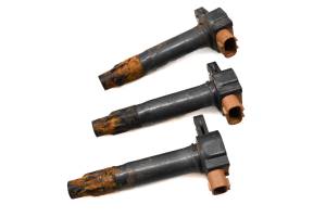 16 Sea-Doo Spark 900 3UP ACE IBR Ignition Coils