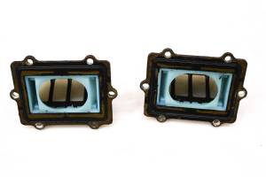 02 Polaris Virage I 3-Pass Reed Valves