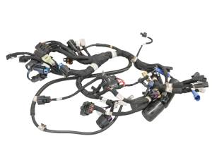 Polaris - 19 Polaris 800 Axyx SKS Wire Harness Electrical Wiring 146" - Image 1