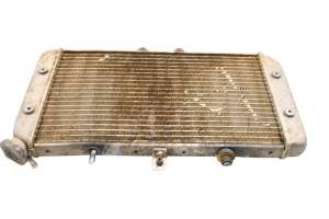 Polaris - 08 Polaris Outlaw 525 S Radiator - Image 3