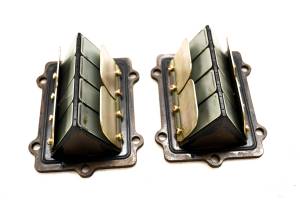 02 Polaris Virage i 800 Reed Valves