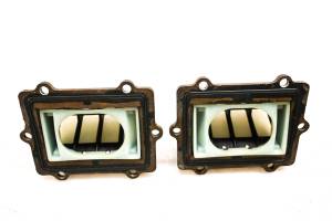 Polaris - 02 Polaris Virage i 800 Reed Valves - Image 3