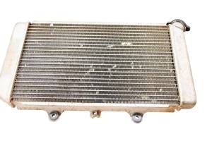 Yamaha - 02 Yamaha Grizzly 660 4x4 Radiator YFM660F - Image 2
