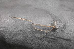 Polaris - 15 Polaris Ranger XP 900 4x4 Drivers Side Seat Bottom Cushion - Image 3